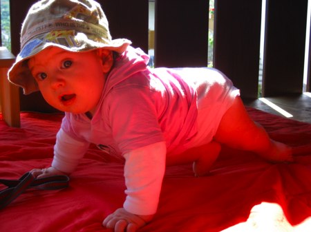 Ixi auf allen Vieren