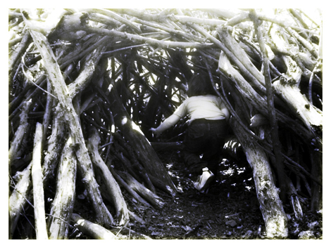 Eine Höhle aus Ästen