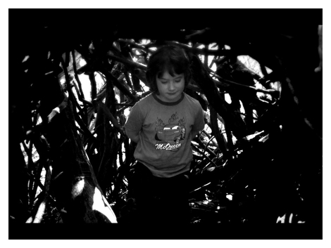 Andächtig des Glücks