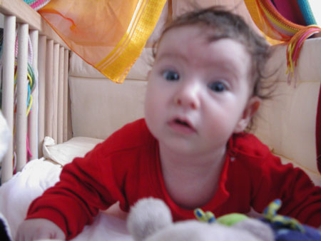 Die Wiederentdeckung des Bettchens